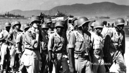 80th anniversary of the Provence Landing: a tribute to the combatants